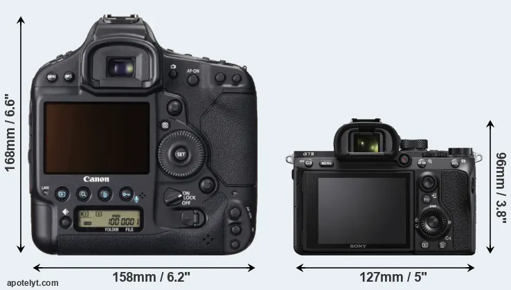 Comparison 1DX or A7 III rear