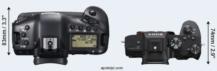 Compare 1DX versus A7 III top
