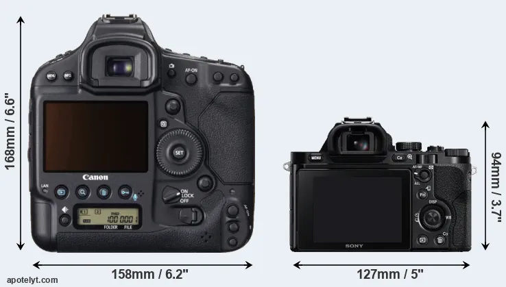 Comparison 1DX or A7 rear