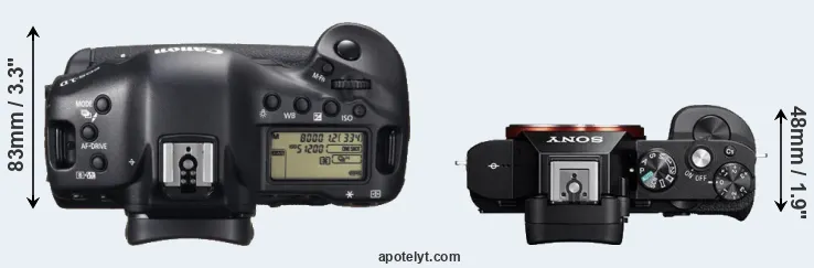 Compare 1DX versus A7 top