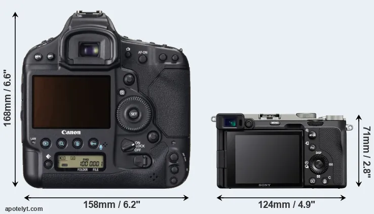 Comparison 1DX or A7C rear