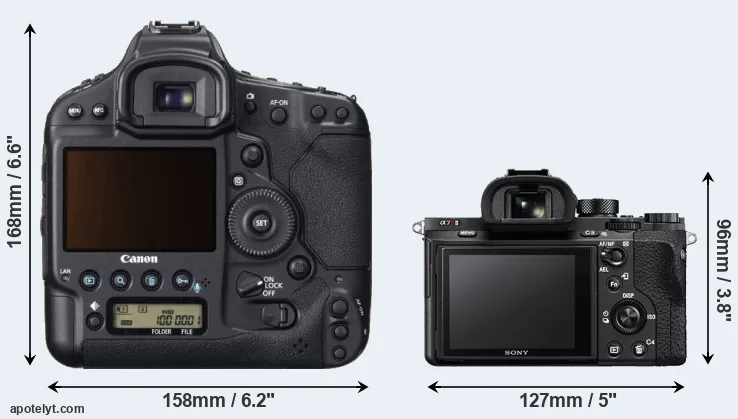 Comparison 1DX or A7R II rear