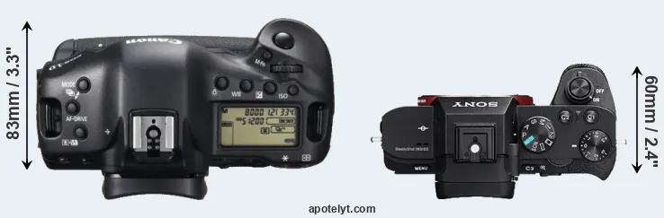 Compare 1DX versus A7R II top