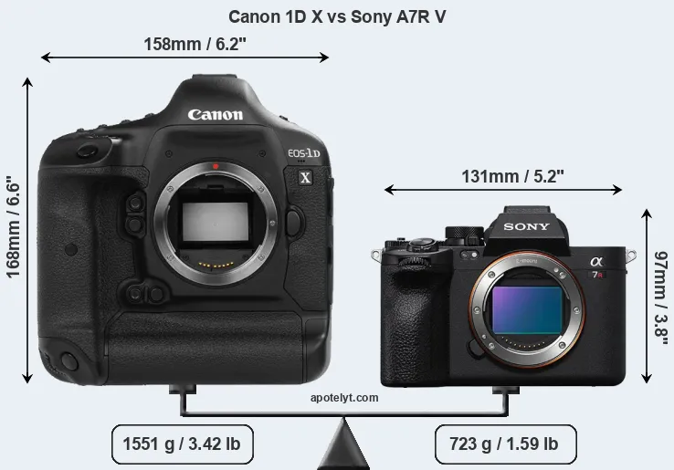 Size Canon 1D X vs Sony A7R V