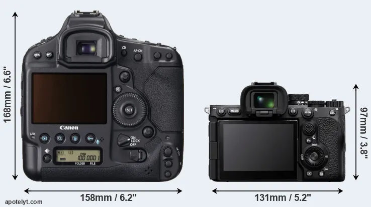 Comparison 1DX or A7R V rear