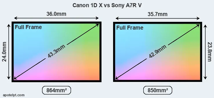 Canon 1D X and Sony A7R V sensor measures