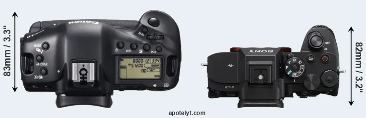 Compare 1DX versus A7R V top