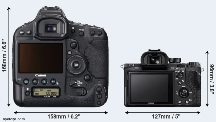 Comparison 1DX or A7S II rear