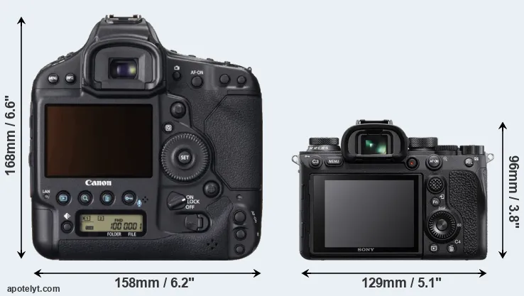 Comparison 1DX or A9 II rear