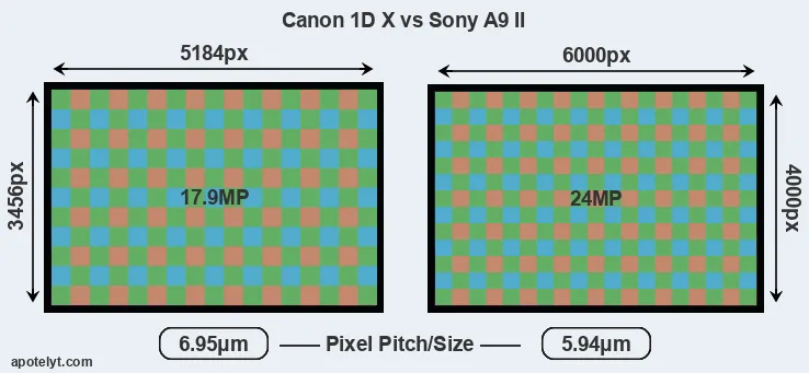 1DX versus A9 II MP