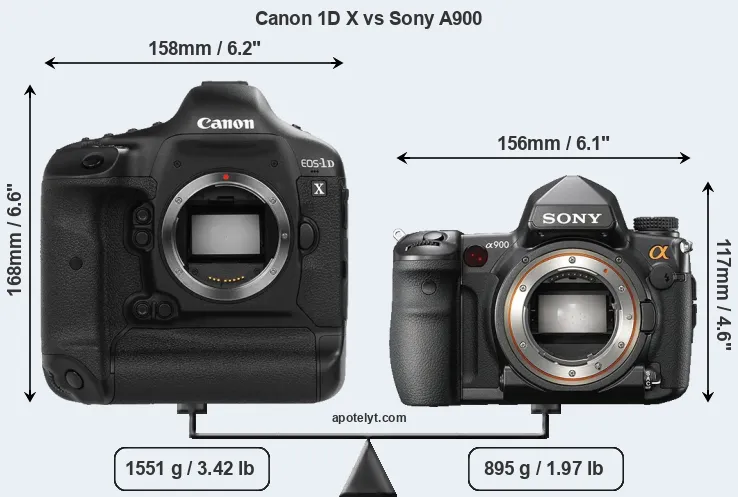 Size Canon 1D X vs Sony A900