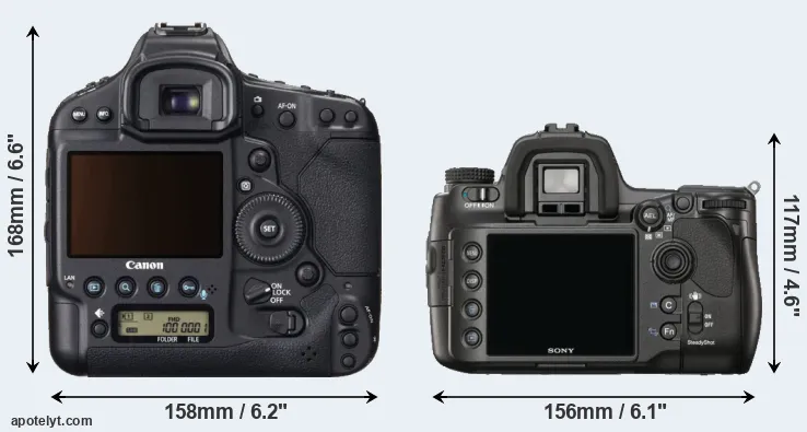 Comparison 1DX or A900 rear