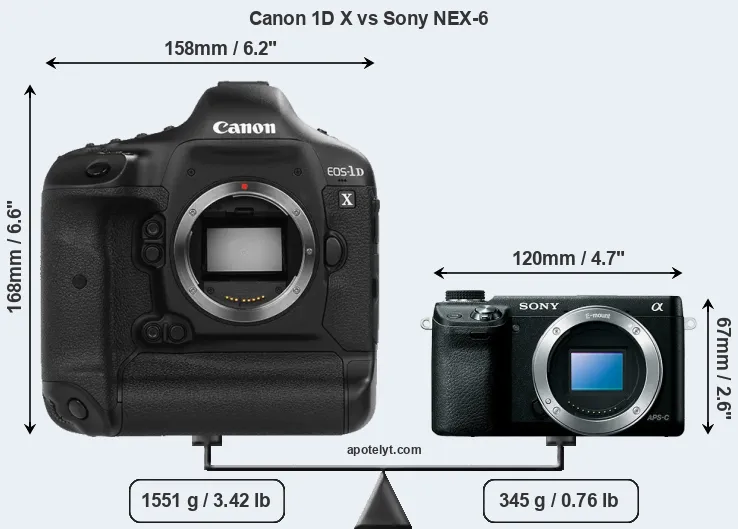 Size Canon 1D X vs Sony NEX-6