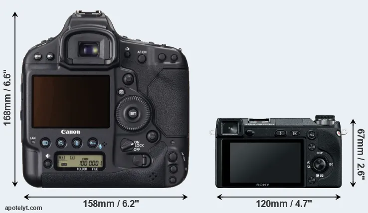 Comparison 1DX or NEX-6 rear