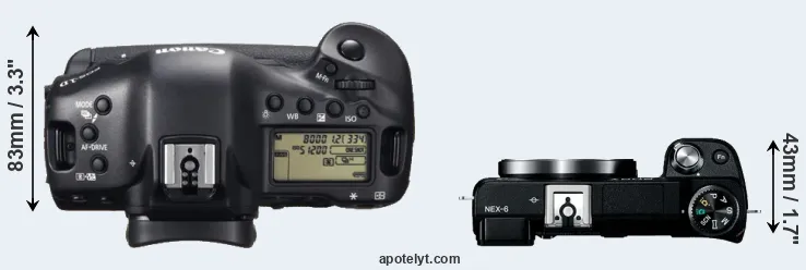 Compare 1DX versus NEX-6 top
