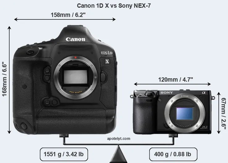 Size Canon 1D X vs Sony NEX-7