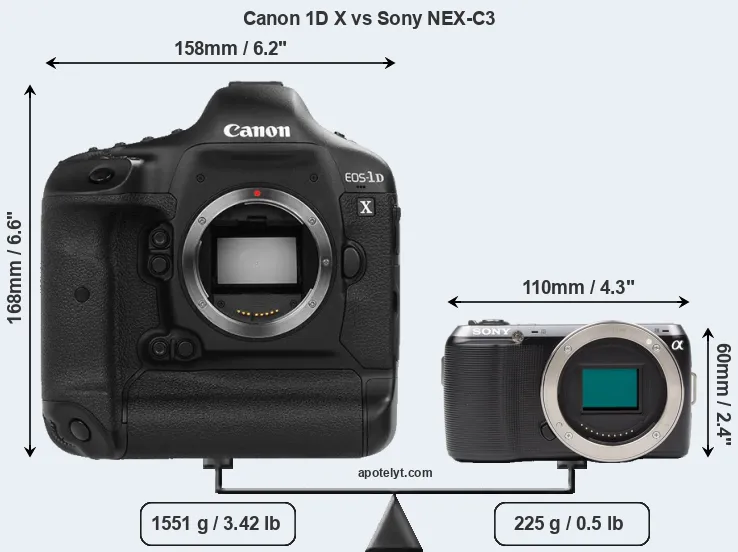Size Canon 1D X vs Sony NEX-C3