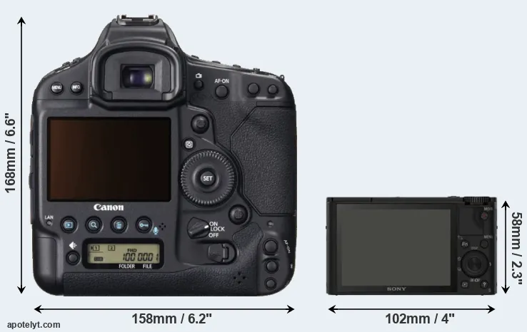 Comparison 1DX or RX100 rear