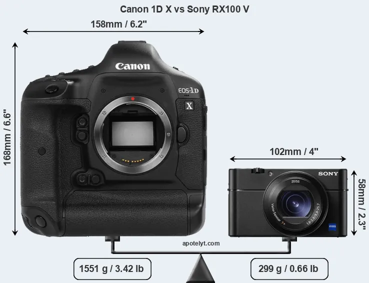 Size Canon 1D X vs Sony RX100 V