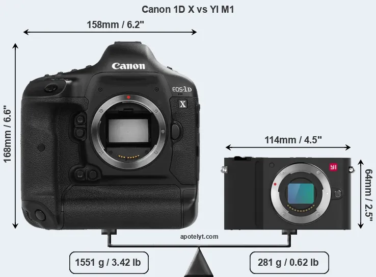 Size Canon 1D X vs YI M1