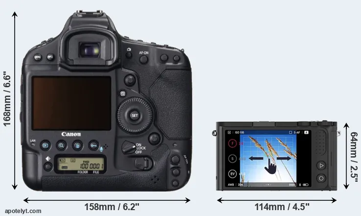 Comparison 1DX or M1 rear
