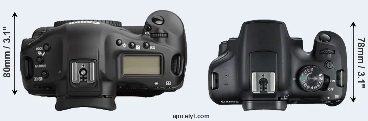 Compare 1Ds Mark II versus 2000D top
