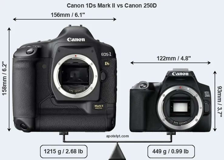 Size Canon 1Ds Mark II vs Canon 250D