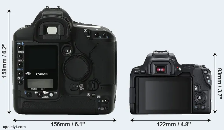 Comparison 1Ds Mark II or 250D rear