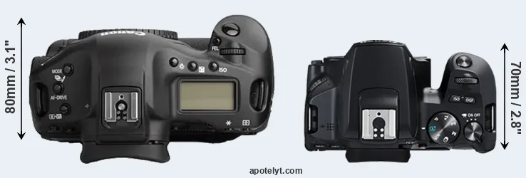 Compare 1Ds Mark II versus 250D top
