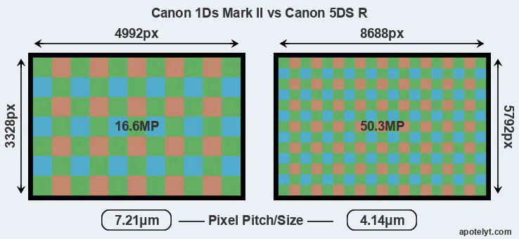 1Ds Mark II versus 5DS R MP