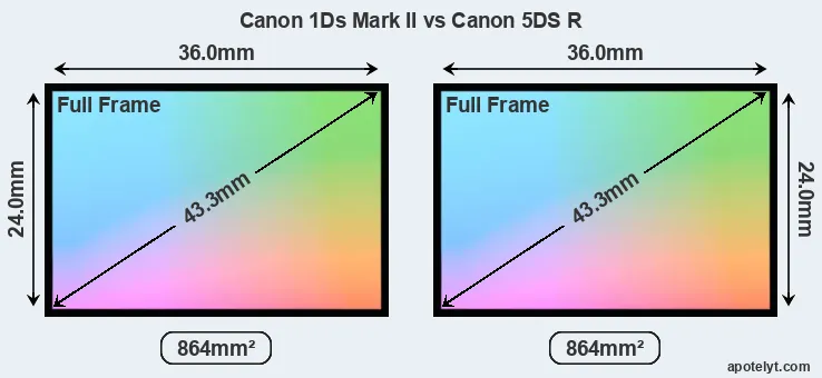 Canon 1Ds Mark II and Canon 5DS R sensor measures