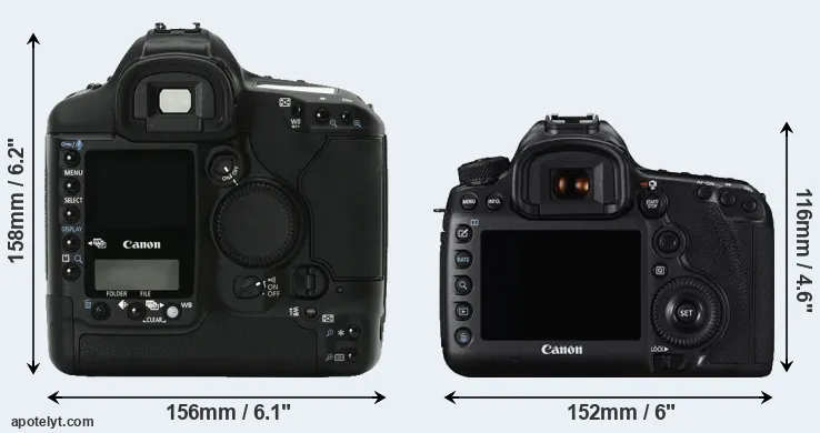 Comparison 1Ds Mark II or 5DS rear