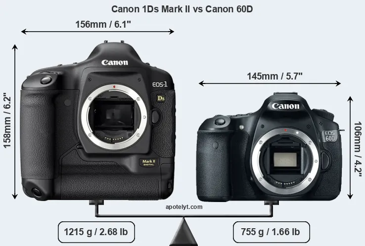 Size Canon 1Ds Mark II vs Canon 60D