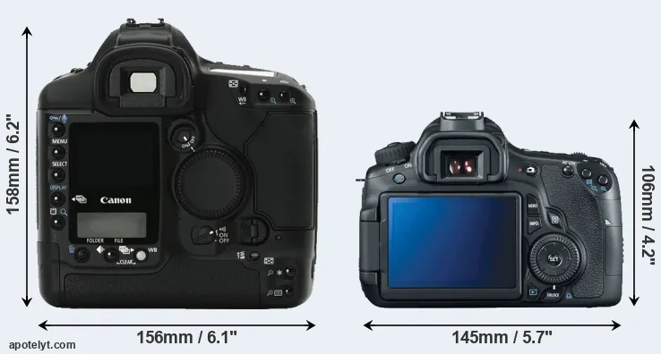 Comparison 1Ds Mark II or 60D rear