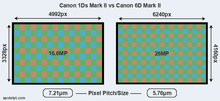 1Ds Mark II versus 6D Mark II MP