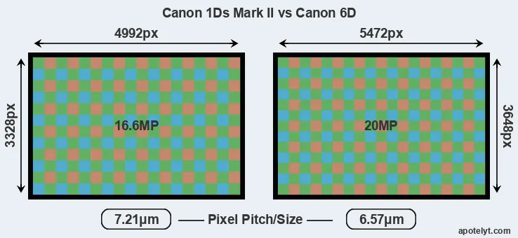 1Ds Mark II versus 6D MP
