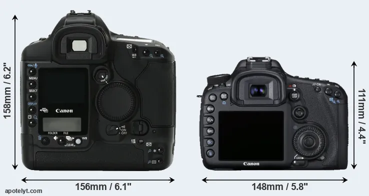 Comparison 1Ds Mark II or 7D rear