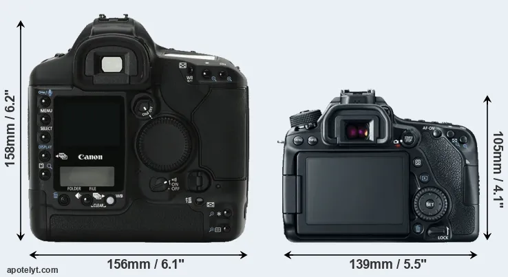 Comparison 1Ds Mark II or 80D rear