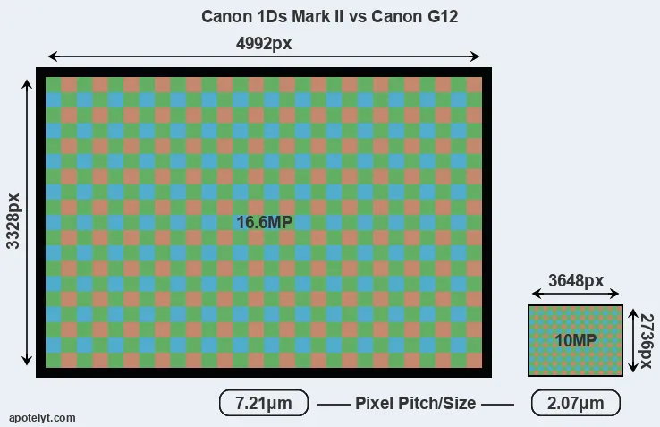 1Ds Mark II versus G12 MP