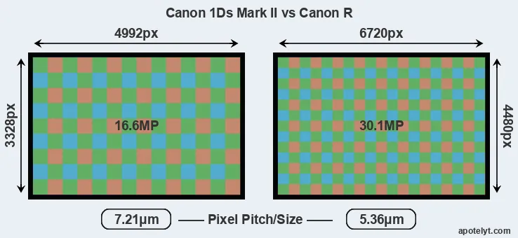 1Ds Mark II versus Canon R MP