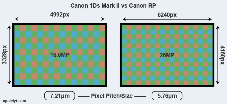 1Ds Mark II versus RP MP