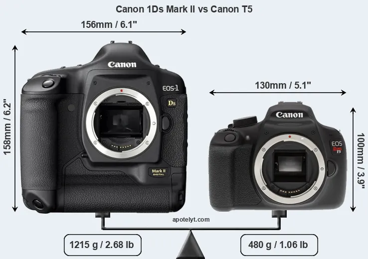Size Canon 1Ds Mark II vs Canon T5