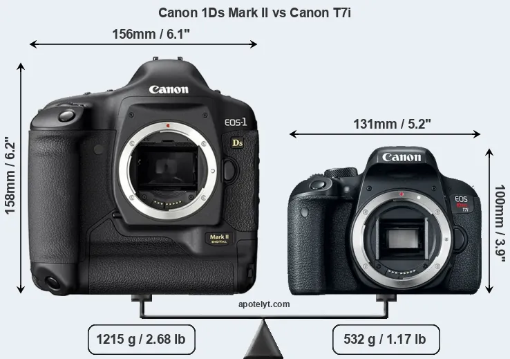Size Canon 1Ds Mark II vs Canon T7i