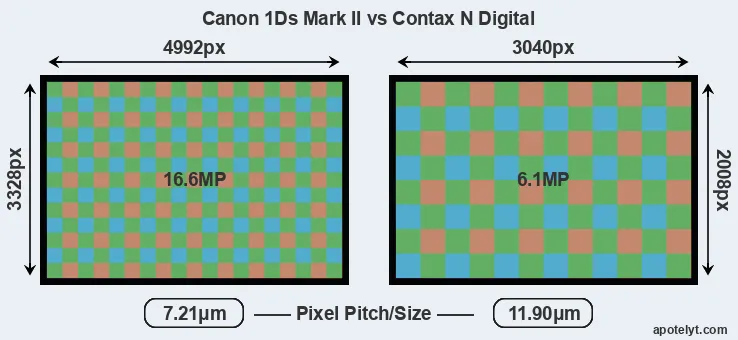 1Ds Mark II versus N Digital MP