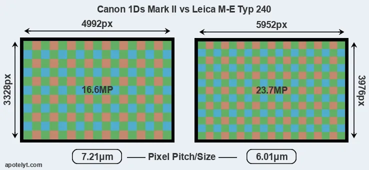 1Ds Mark II versus M-E Typ 240 MP