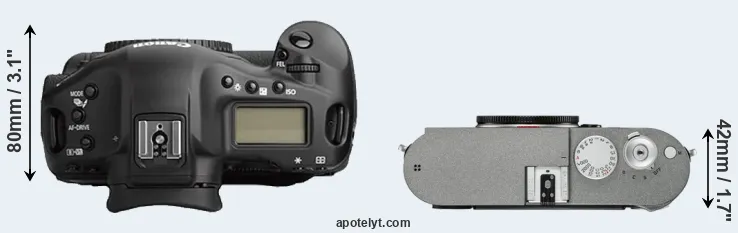 Compare 1Ds Mark II versus M-E Typ 240 top