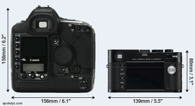 Comparison 1Ds Mark II or M Typ 240 rear