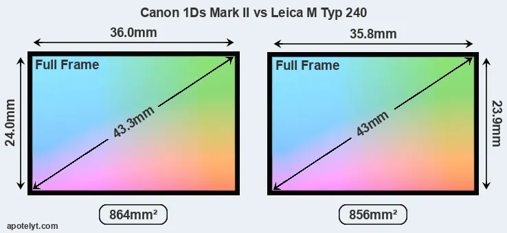 Canon 1Ds Mark II and Leica M Typ 240 sensor measures