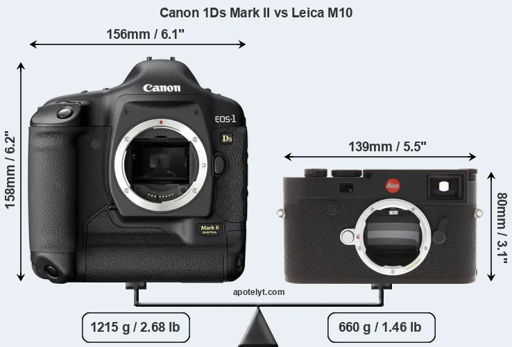Size Canon 1Ds Mark II vs Leica M10