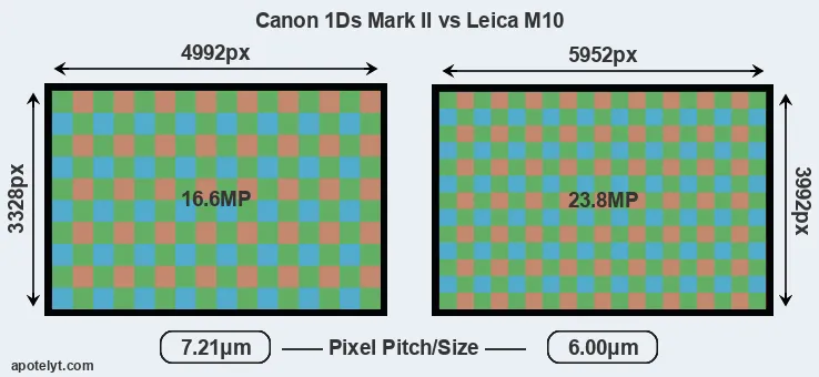 1Ds Mark II versus M10 MP